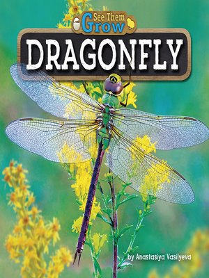 cover image of Dragonfly